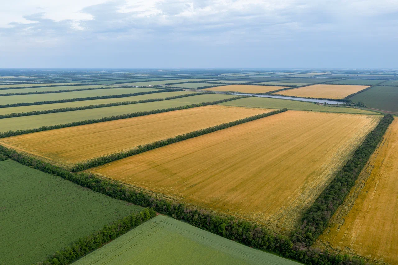 Агрохолдинг «СТЕПЬ» начинает проект по восстановлению плодородия почв ...